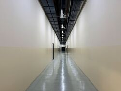 Bendemeer Road (D12), Factory #492254631